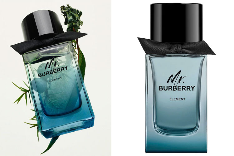 fravær igennem Ansigt opad Burberry Mr. Burberry Element fougere perfume guide to scents