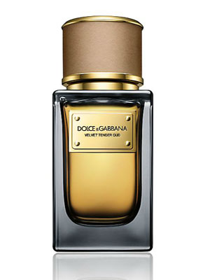 Dolce & Gabbana Velvet Tender Oud Fragrance