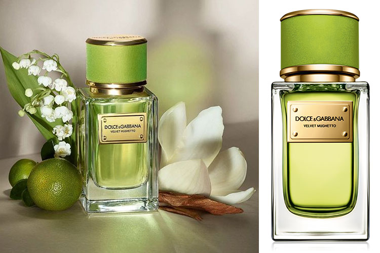 dolce and gabbana perfume green