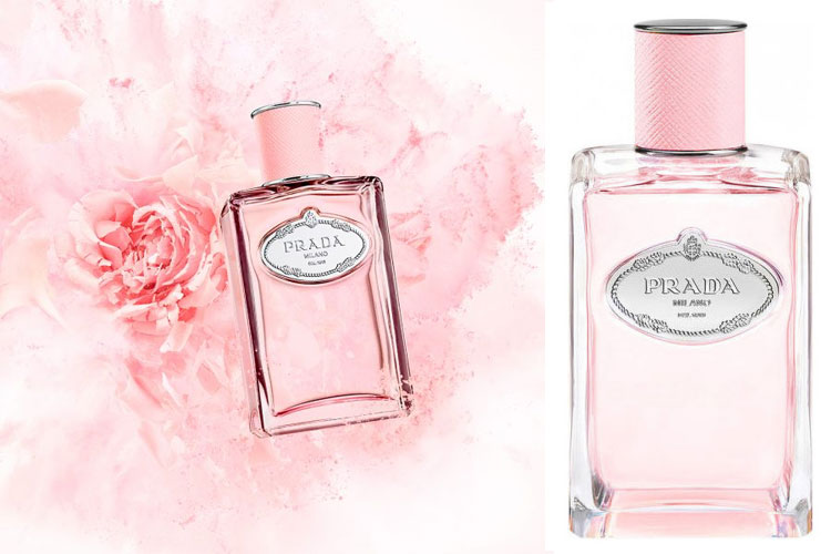perfume prada infusion de rose