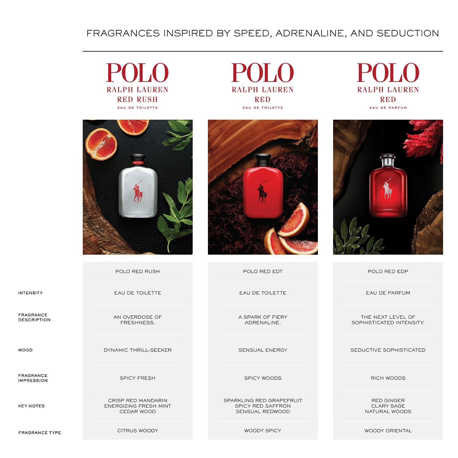 Ralph Lauren Polo Red Collection