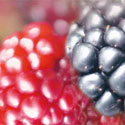 Glade Fresh Berries home fragrance