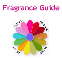 Lush Fragrance Guide