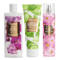 ScentWorx Clean Beauty Collection ScentWorx Clean Beauty Collection