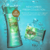 Caress Fresh Collection Body Wash