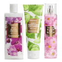 Scentworx Clean Beauty Collection