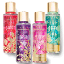 Victoria's Secret Scents of Holiday
