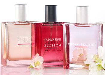 Cherry Blossom Bath and Body Works fragrances