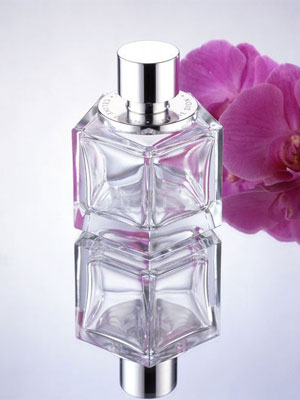 Celine Dion Belong Perfume