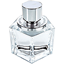 Celine Dion Belong perfume