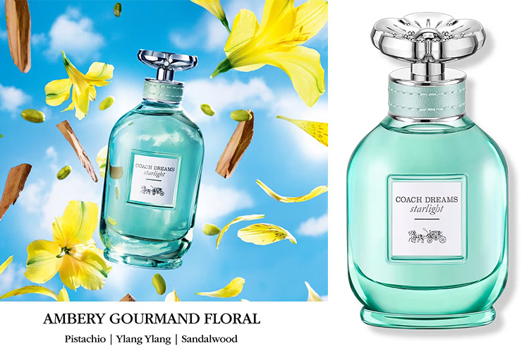 Coach Dreams Starlight