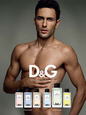 D&G 6 Fragrance