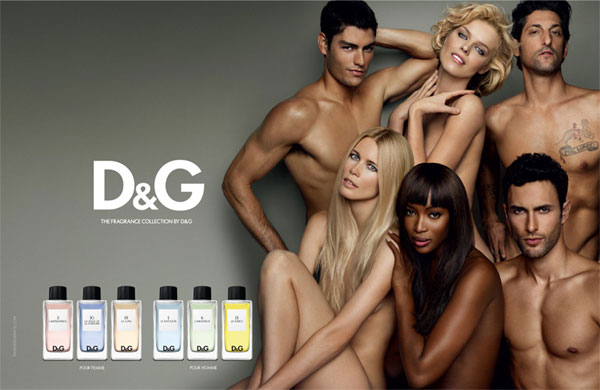 D&G Fragrance Collection Dolce and Gabbana