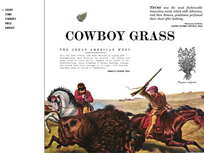 D.S. & Durga Cowboy Grass website