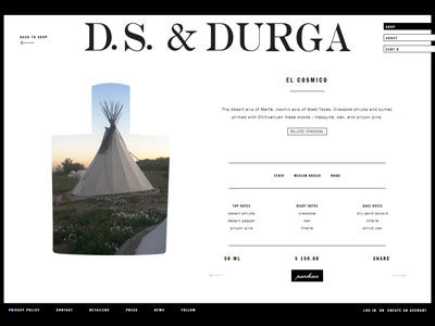 D.S. & Durga El Cosmico Website