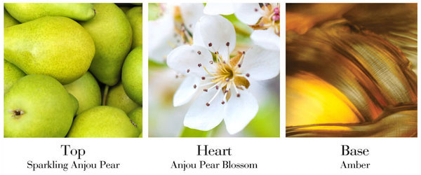 Elizabeth Arden Green Tea Pear Blossom perfume notes