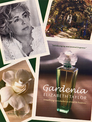 Elizabeth Taylor Gardenia perfume