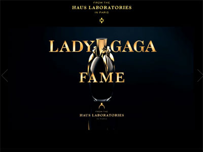 Lady Gaga Fame website