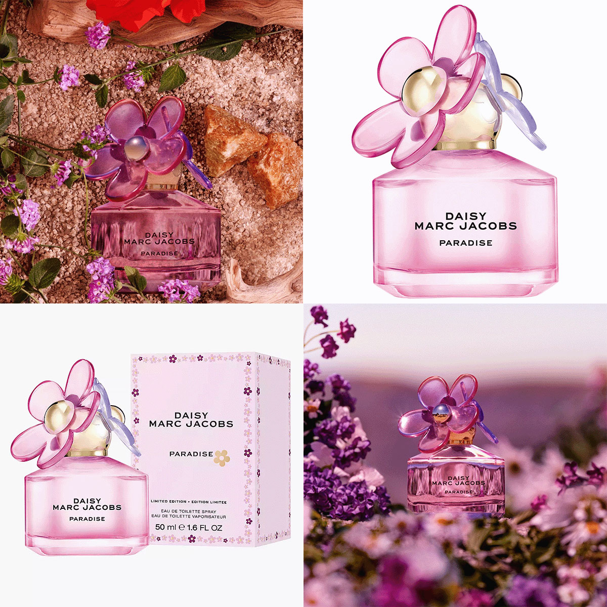 Marc Jacobs Daisy Paradise perfume bottle, packaging, and fragrance ads