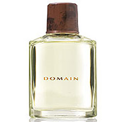 Mary Kay Domain Perfume