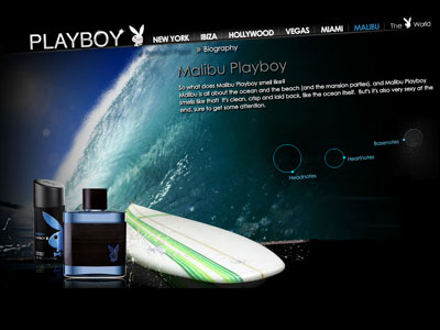 Malibu Playboy website