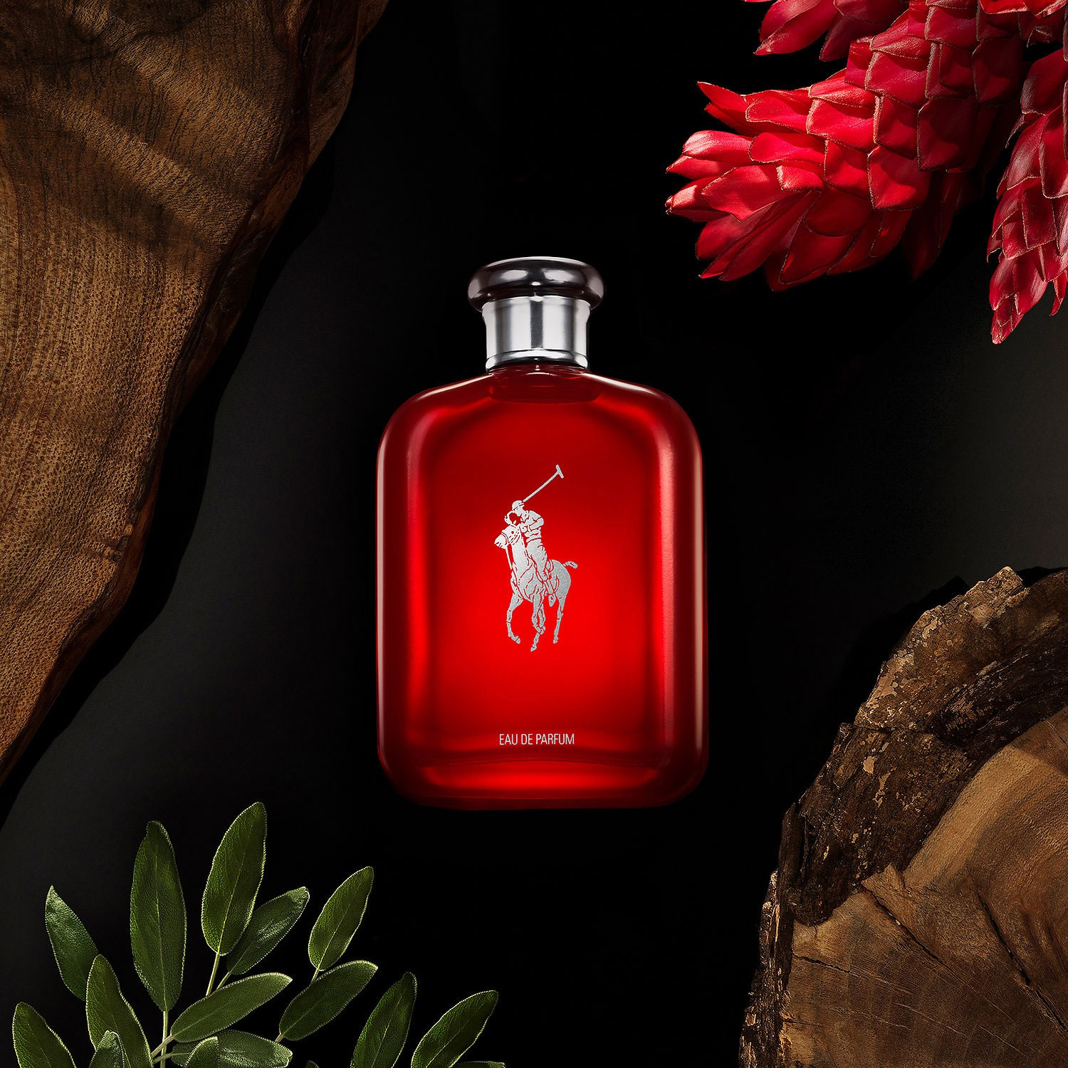 Ralph Lauren Polo Red Eau de Parfum Perfume Ad