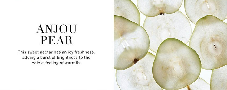 Anjou Pear scent notes