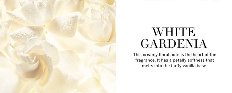 White Gardenia scent notes
