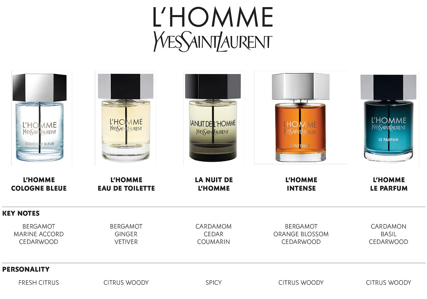 Yves Saint Laurent L'Homme Fragrance Collection