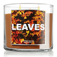 Bath and Body Works Leaves home fragrances
