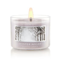 Winter Night Bath and Body Works home fragrances