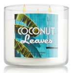 Bath and Body Works Coconut Leaves home fragrances