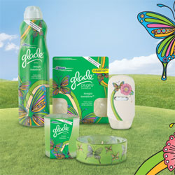 Glade Spring Collection