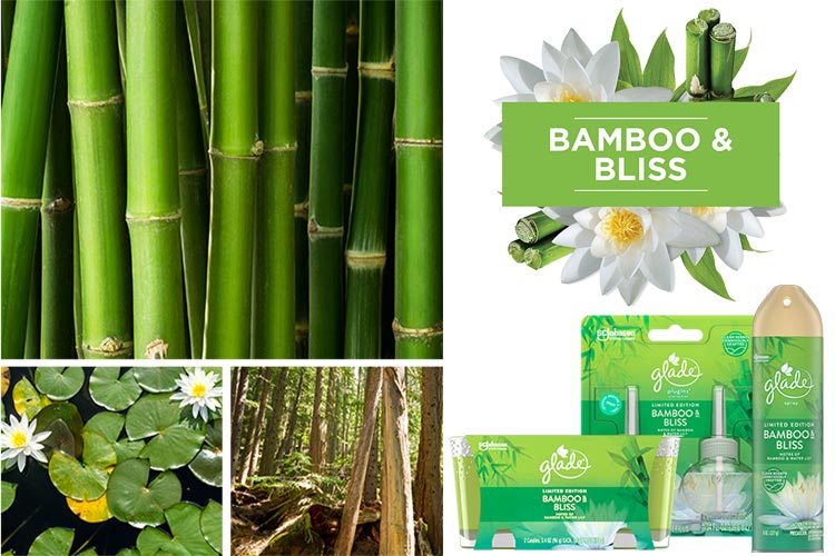 Glade Bamboo and Bliss Fragrance Collection