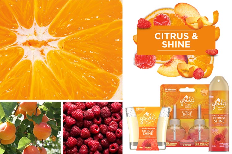 Glade Citrus and Shine Fragrance Collection