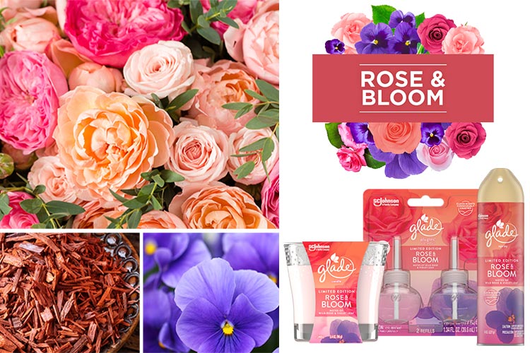 Glade Rose and Bloom Fragrance Collection