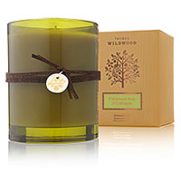 Thymes Fiddlehead Fern and Crabapple home fragrances