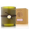Thymes Wildwood Spring Collection home fragrances