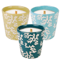 WoodWick Candles Spring Collection 2013