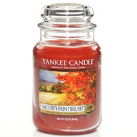 Nature's Paintbrush Yankee Candle home fragrances