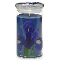 Yankee Candle Royal Blue Iris home fragrances