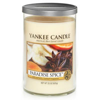 Yankee Candle candle Paradise Spice home fragrances