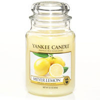 Meyer Lemon Yankee Candle home fragrances