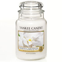 White Gardenia Yankee Candle home fragrances